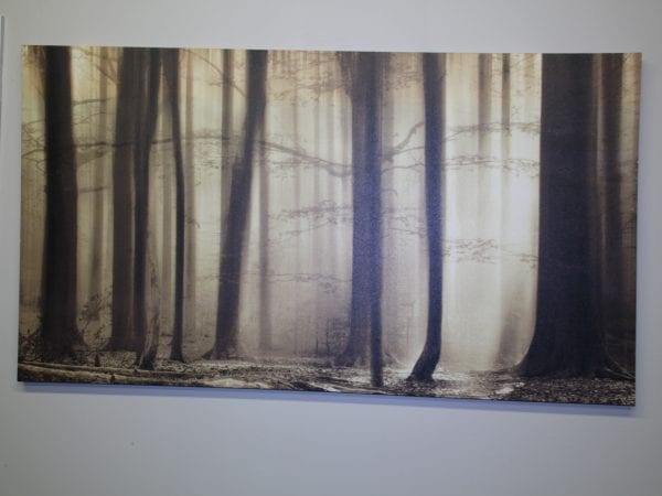 Brown trees canvas available for lease at Pittsburgh Furniture Leasing